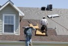 Flying Foxskylights-2.jpg; ?>